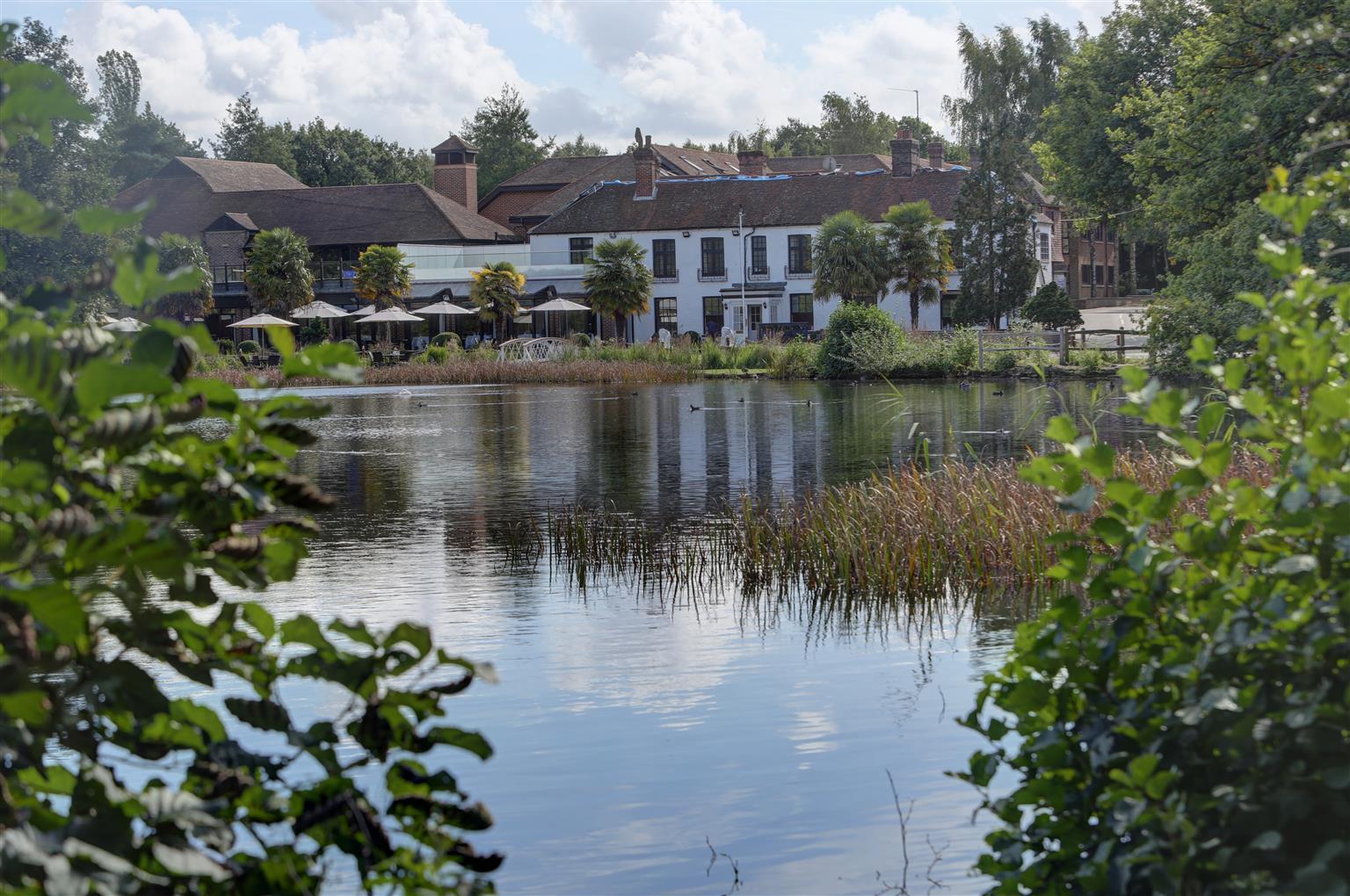 Frensham Pond Country House Hotel & Spa Farnham  Exterior foto